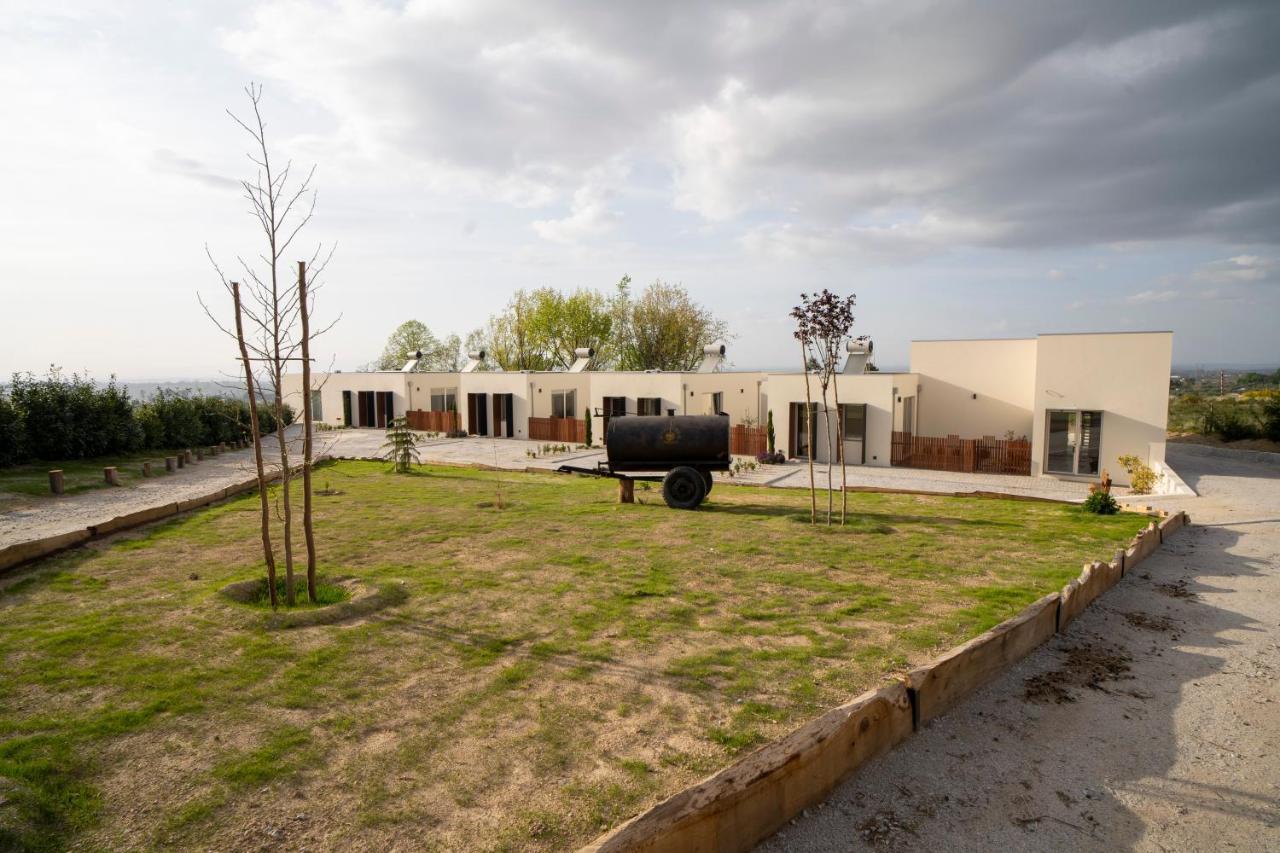 Quinta Chao Da Bispa Oliveira do Hospital Eksteriør bilde